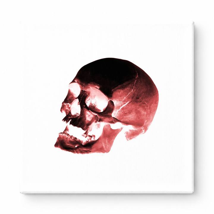 Red Skull Study