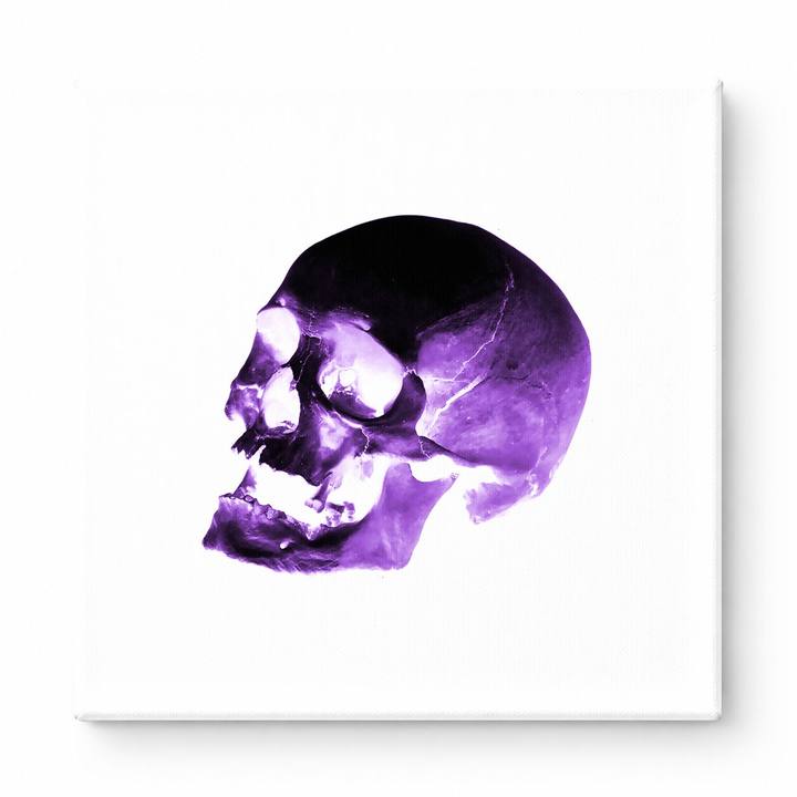 Purple Skull