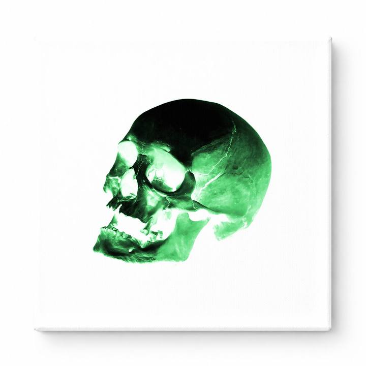 Green Skull Study