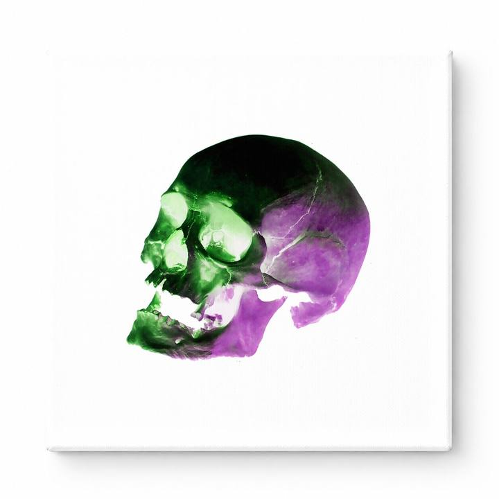Green and Purple Skull