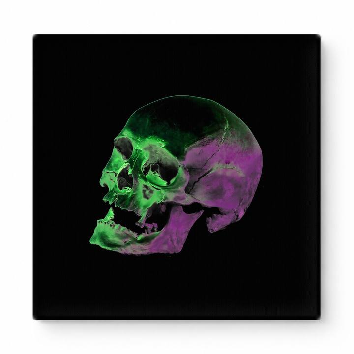 Neon Skull