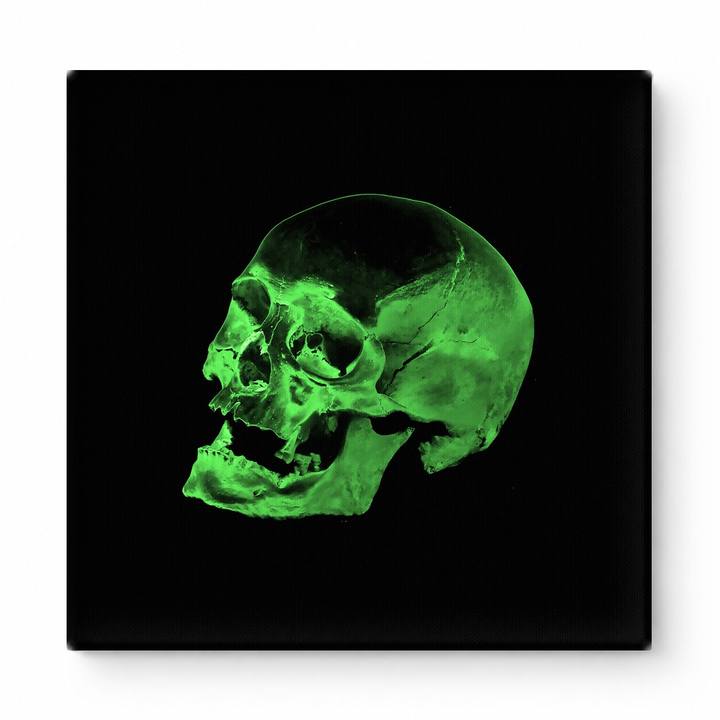 Green Skull on Black