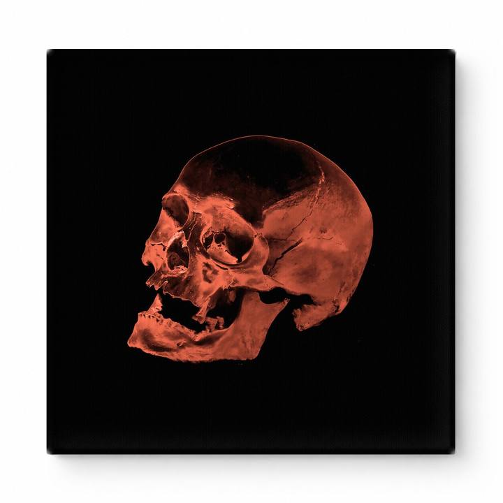 Red Skull on Black
