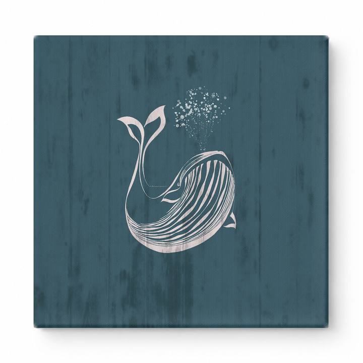 White Whale on Teal Wood