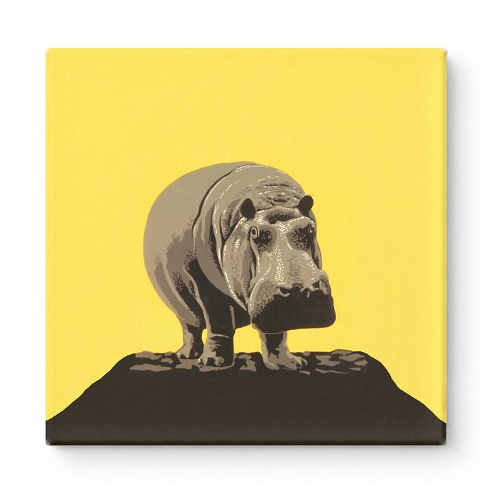 Hippopotamus on Rock