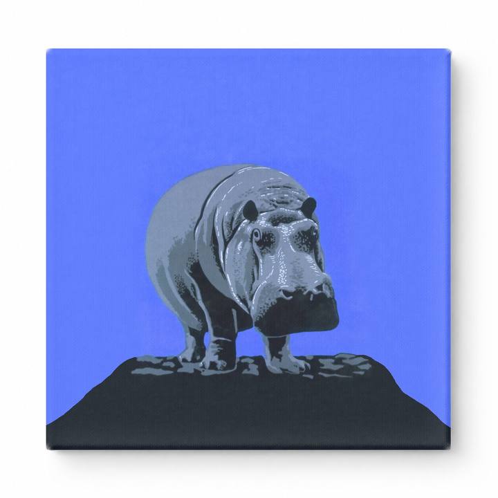 Hippo on Rock