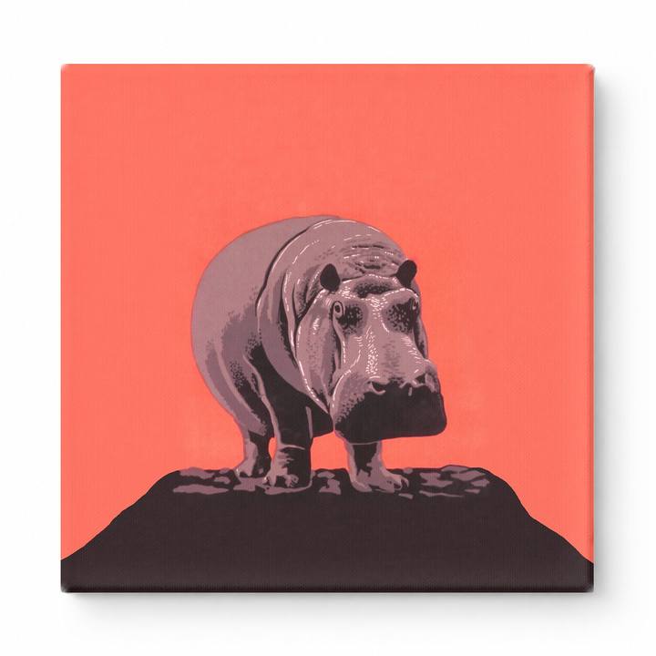 Hippopotamus on Red