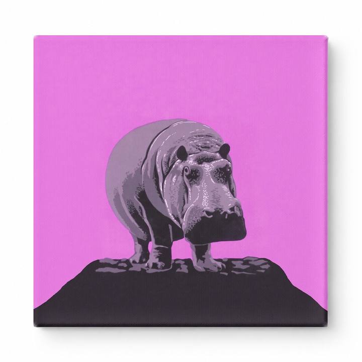 Pink Hippo