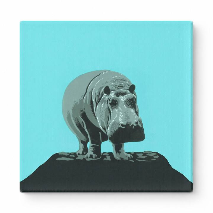 Hippopotamus on Rock