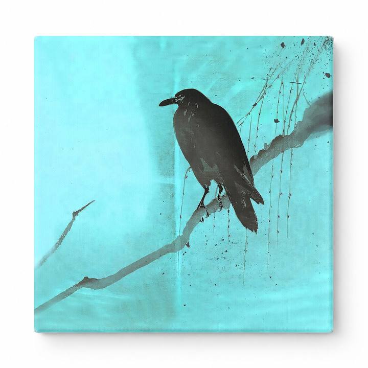 Black Crow on Branch