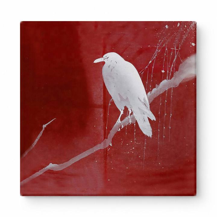 White Raven on Branch