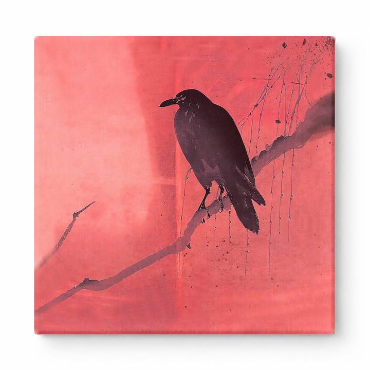 Black Crow on Branch