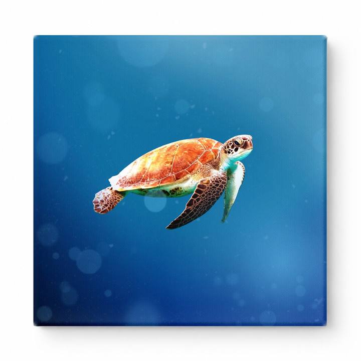 Sea Turtle in Blue Ocean