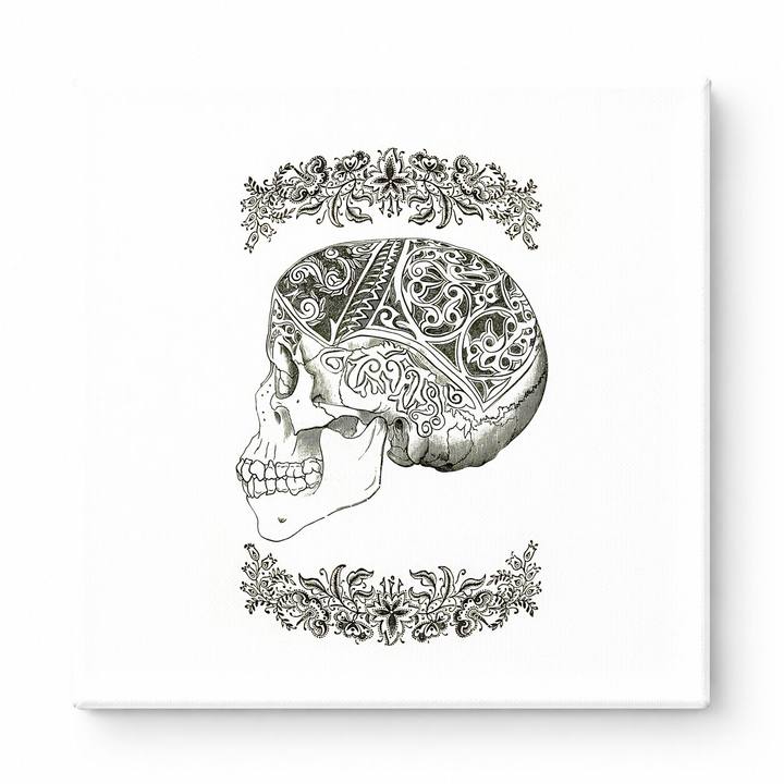 Ornate Skull with Floral Borders