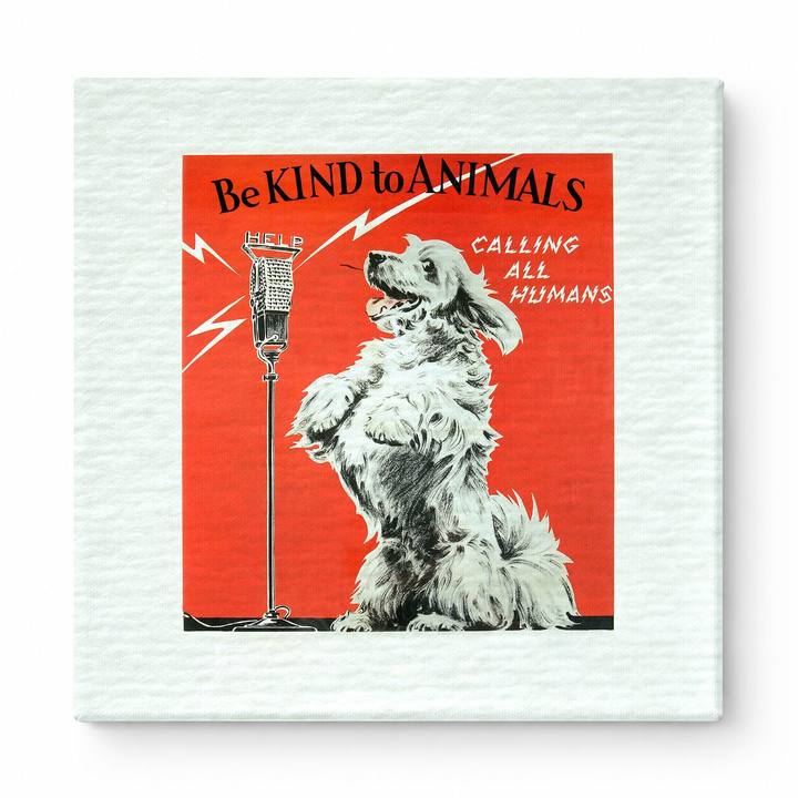 Be Kind to Animals – Calling All Humans