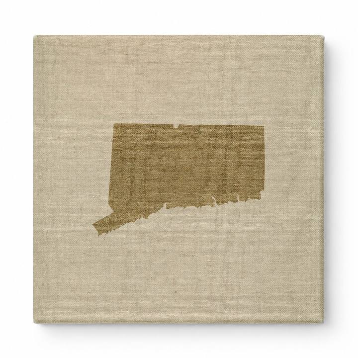 Connecticut State Silhouette