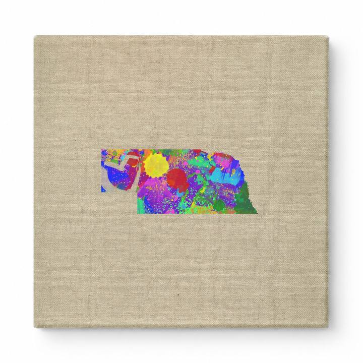Nebraska State Map Colorful Splatter