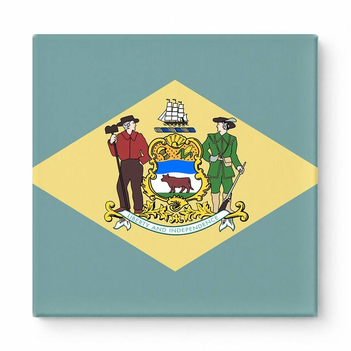 Delaware State Flag
