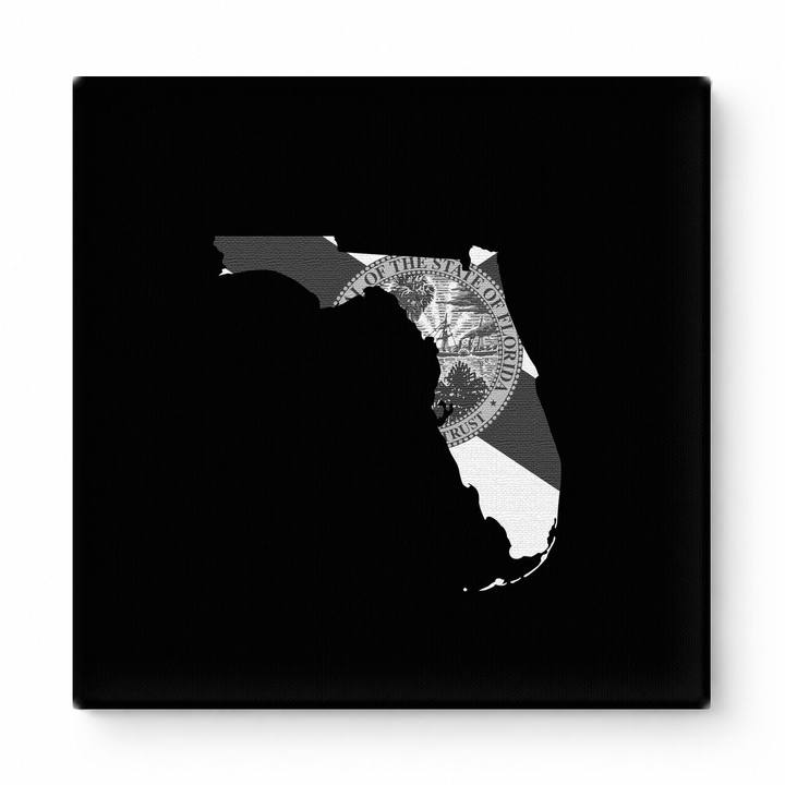 Florida State Map with Flag