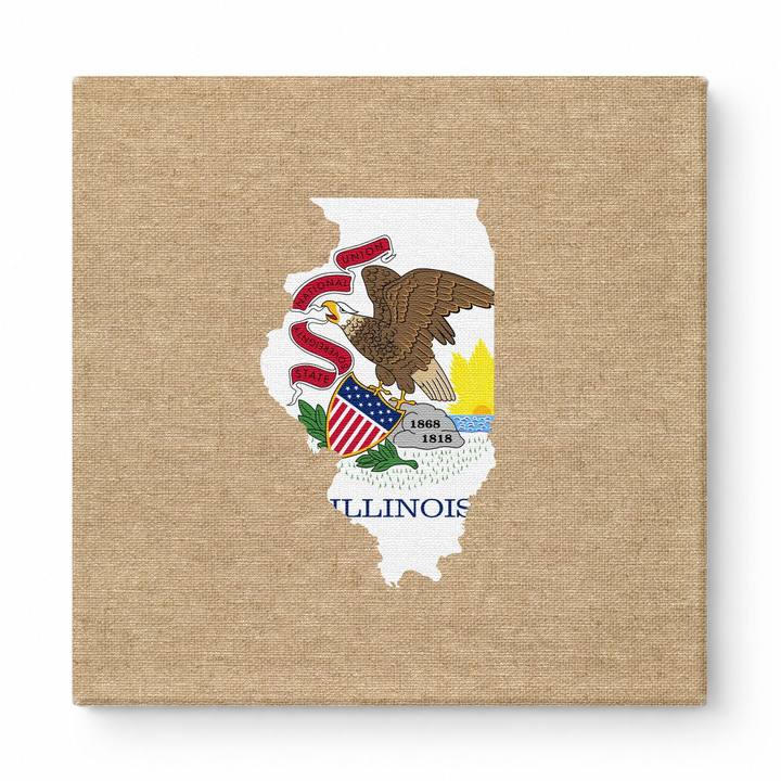 Illinois State Map