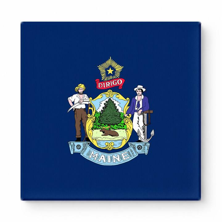 State Flag of Maine