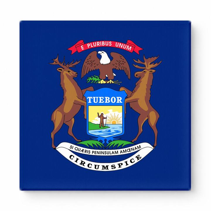 Michigan State Flag
