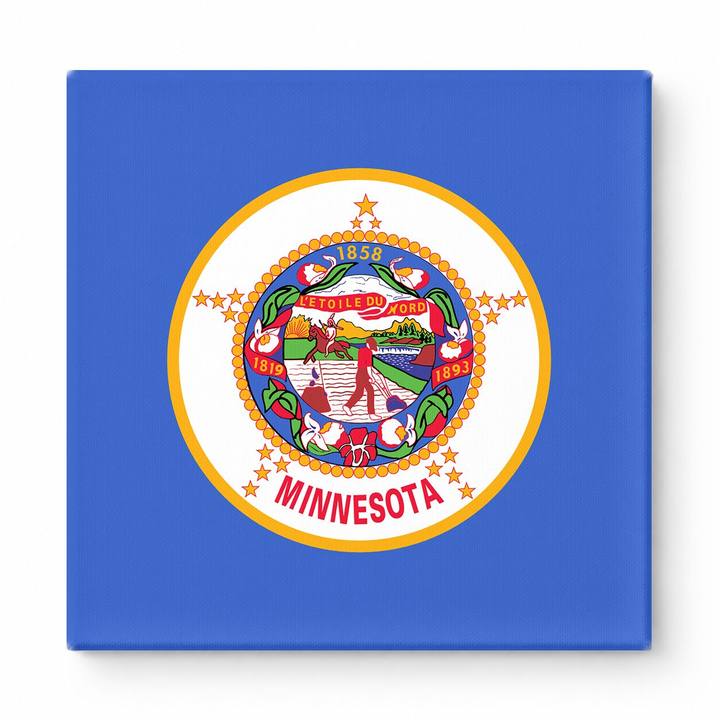 Minnesota State Flag