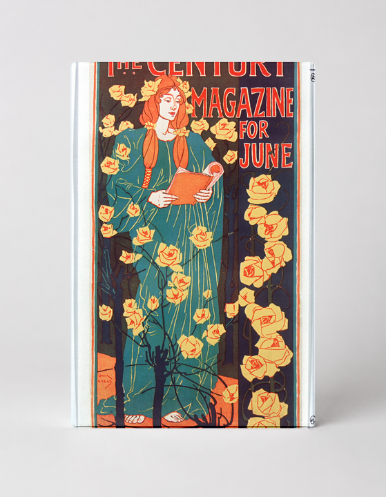 The Century Magazine for June 1896 - Art Nouveau Vintage Poster Wall Art