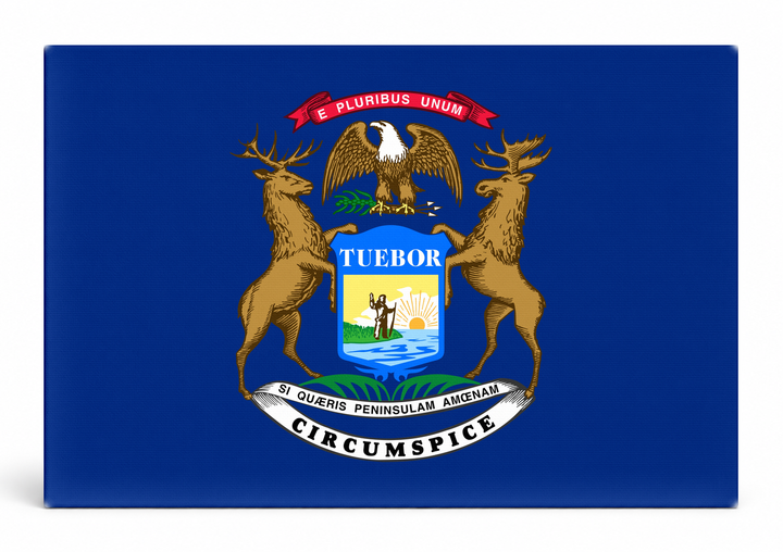 Michigan State Flag