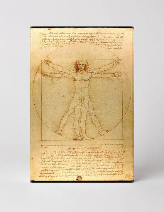 Vitruvian Man (c. 1490)