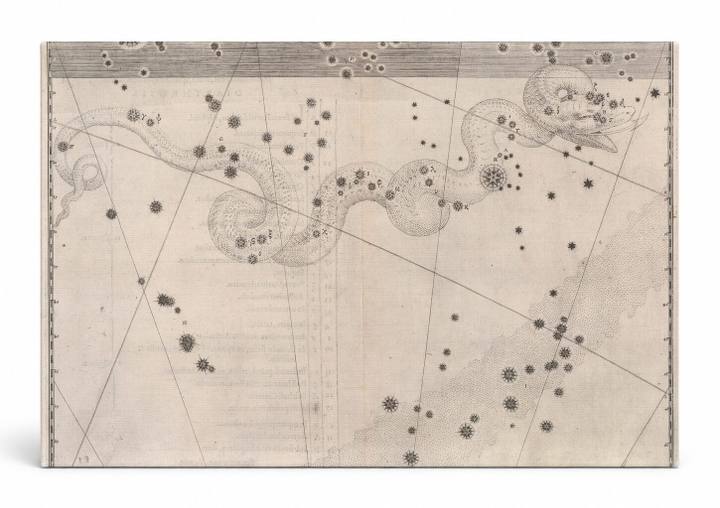 Hydra, Corvus & Crater (Uranometria, 1603)
