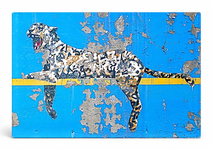 Bronx Zoo — Street Art Print
