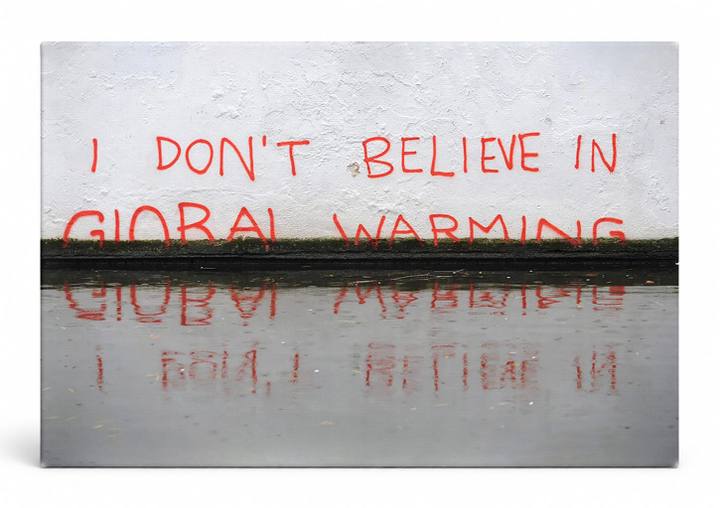 Don't Believe in Global Warming close — Street Art Print