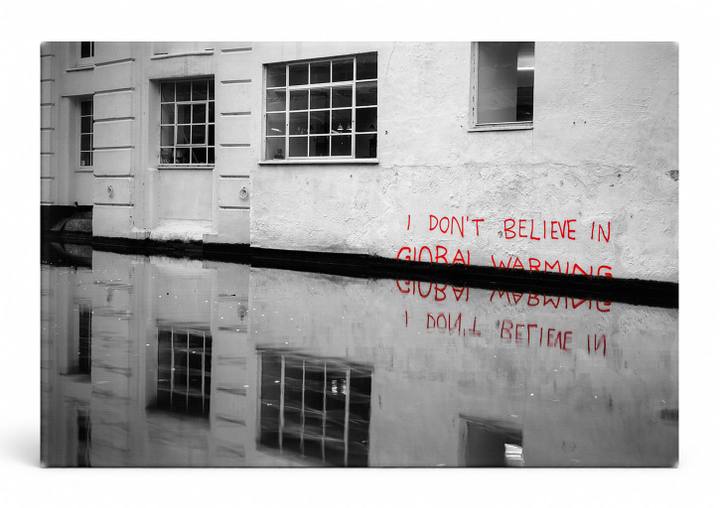 Dont Believe in Global Warming Reflection — Street Art Print