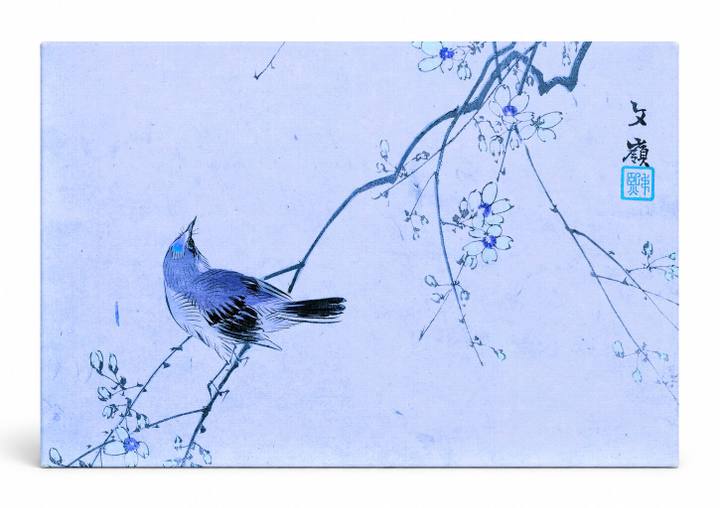 Bird on Blossoming Branch