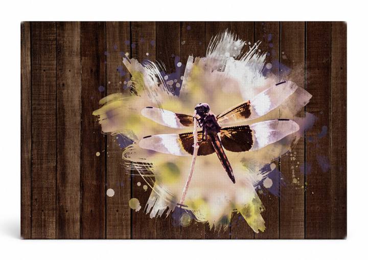 Dragonfly on Weathered Wood