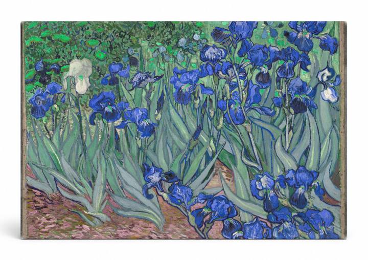 Irises (1889)