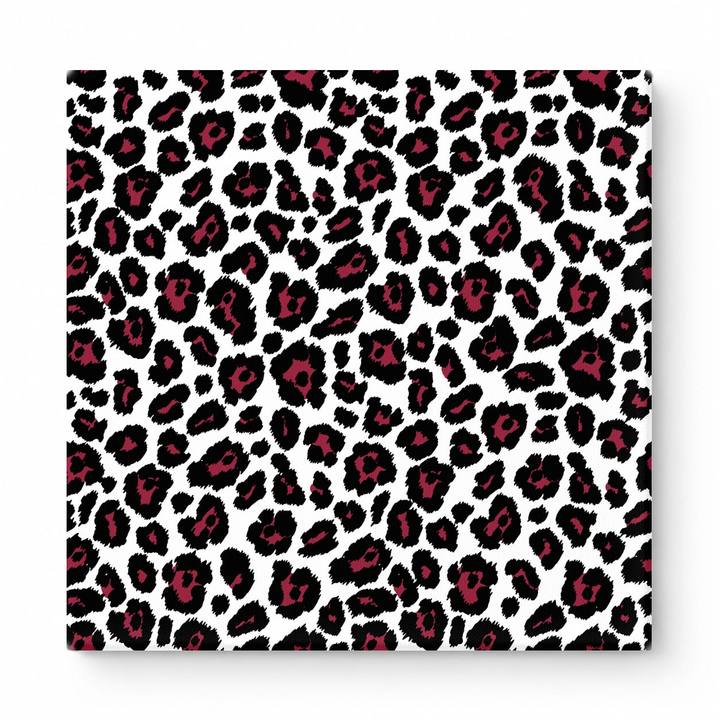 White & Black Leopard — National Football Teams