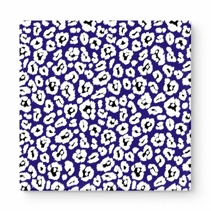 Navy & White Leopard — National Football Teams