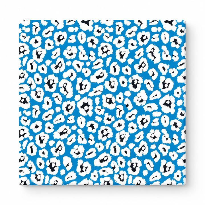 Royal Blue & White Leopard — National Football Teams