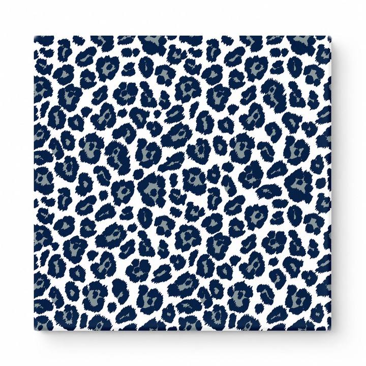 Navy & White Leopard — National Football Teams