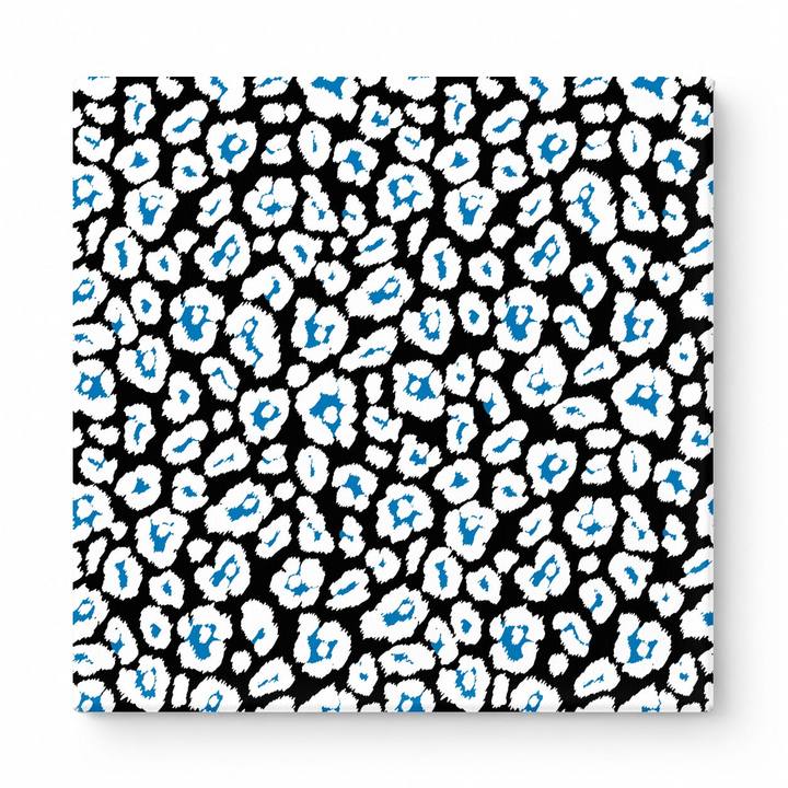 Black & White Leopard — National Football Teams