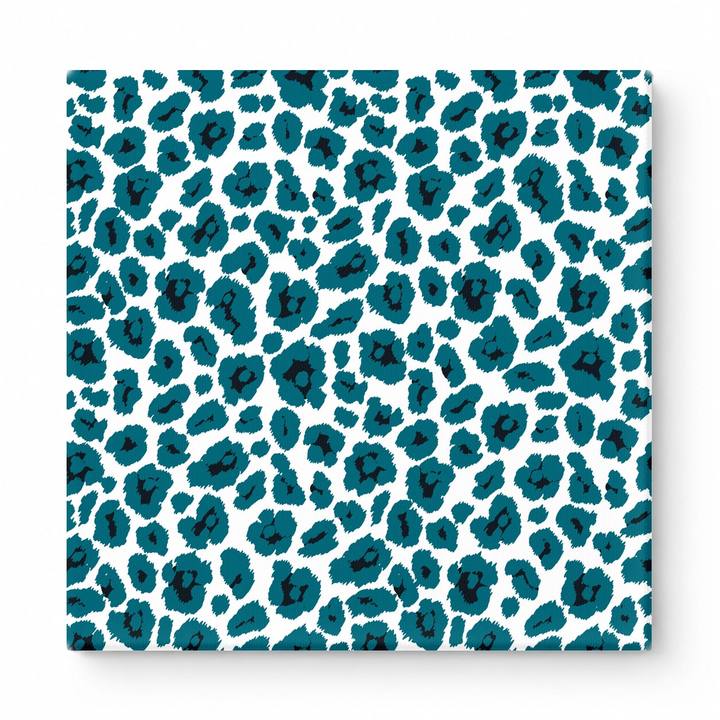 Teal & White Leopard — National Football Teams