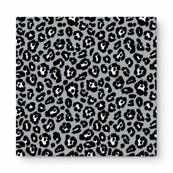 Gray & Black Leopard — National Football Teams