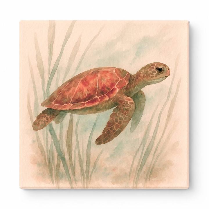 Seagrass Journey