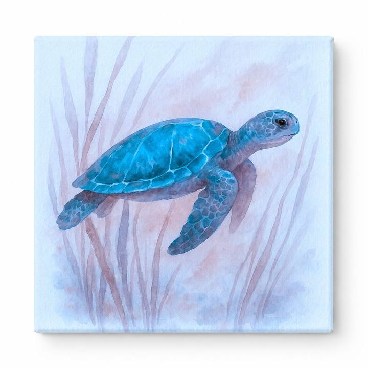 Seagrass Journey