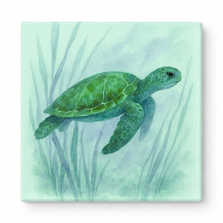 Seagrass Journey