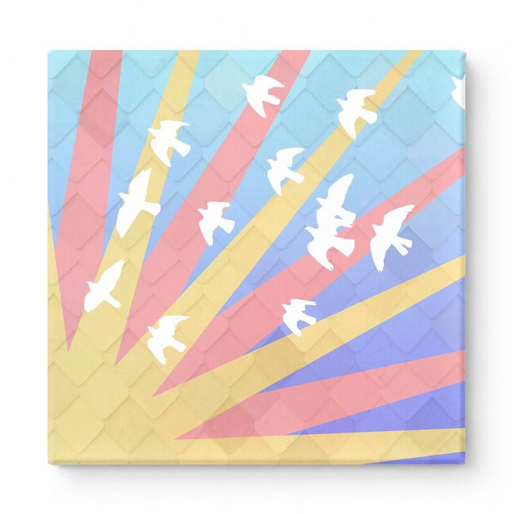 Birds in Flight with Radiating Rays