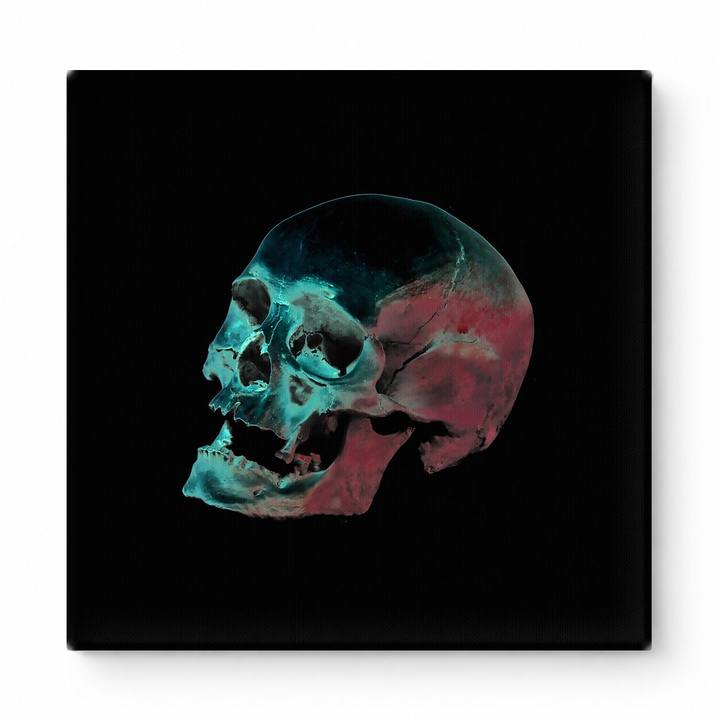 Neon Skull Study