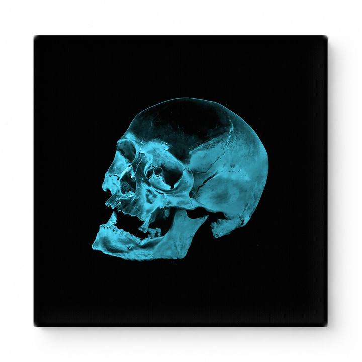 Cyan Skull Study